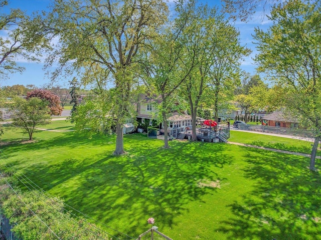 view of green lawn