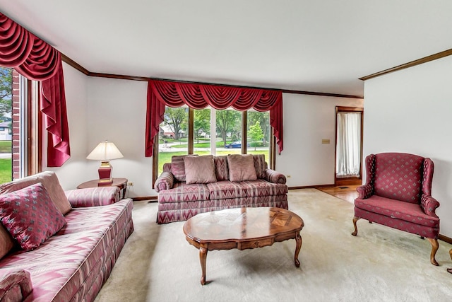 living room featuring baseboards, crown molding, and carpet