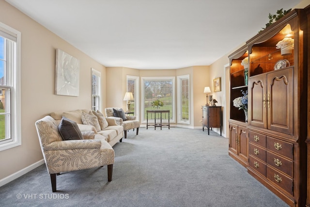 living area with baseboards, carpet, and a healthy amount of sunlight