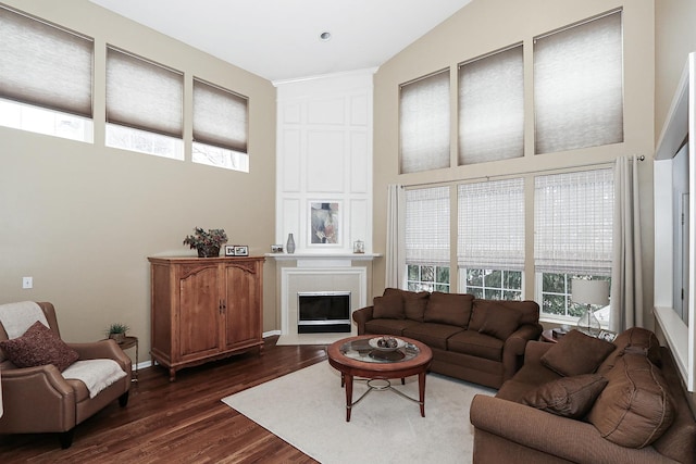 living area featuring a fireplace and dark wood finished floors