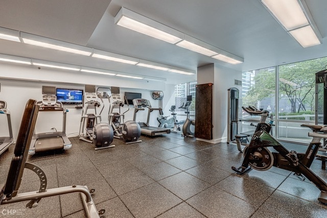 gym with expansive windows