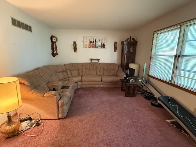 203 S Whitehead St, Tolono, IL 61880 - view of carpeted living room
