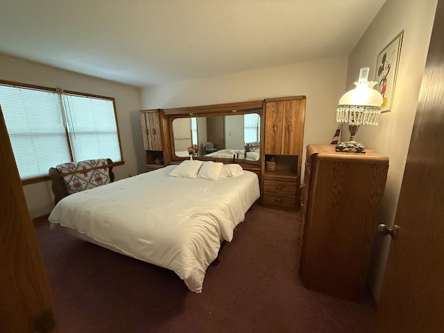 203 S Whitehead St, Tolono, IL 61880 - bedroom with dark carpet and multiple windows
