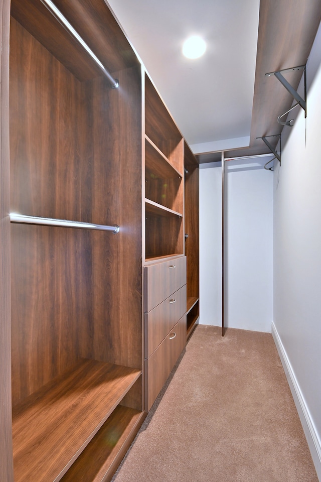 7420 W Lawrence Ave Unit 402, Harwood Heights, IL 60706 - spacious closet with carpet floors