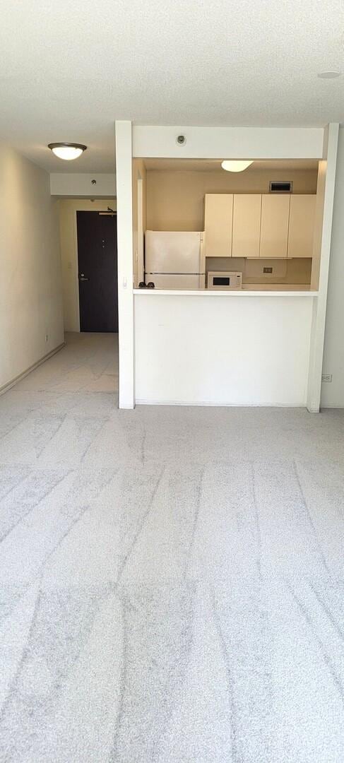 440 N Wabash St Unit 1807, Chicago, IL 60611 - unfurnished living room with light colored carpet and a textured ceiling