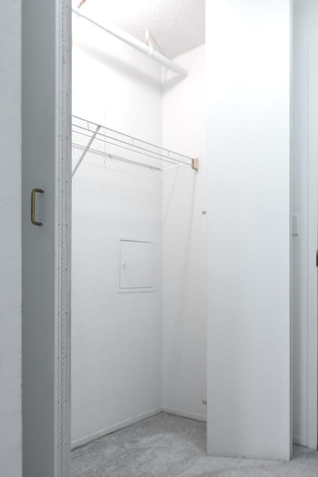440 N Wabash St Unit 1807, Chicago, IL 60611 - walk in closet featuring carpet floors