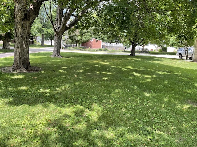 810 13th Ave, Mendota, IL 61342 - view of grassy yard