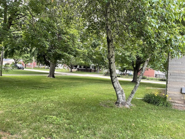 810 13th Ave, Mendota, IL 61342 - view of green lawn