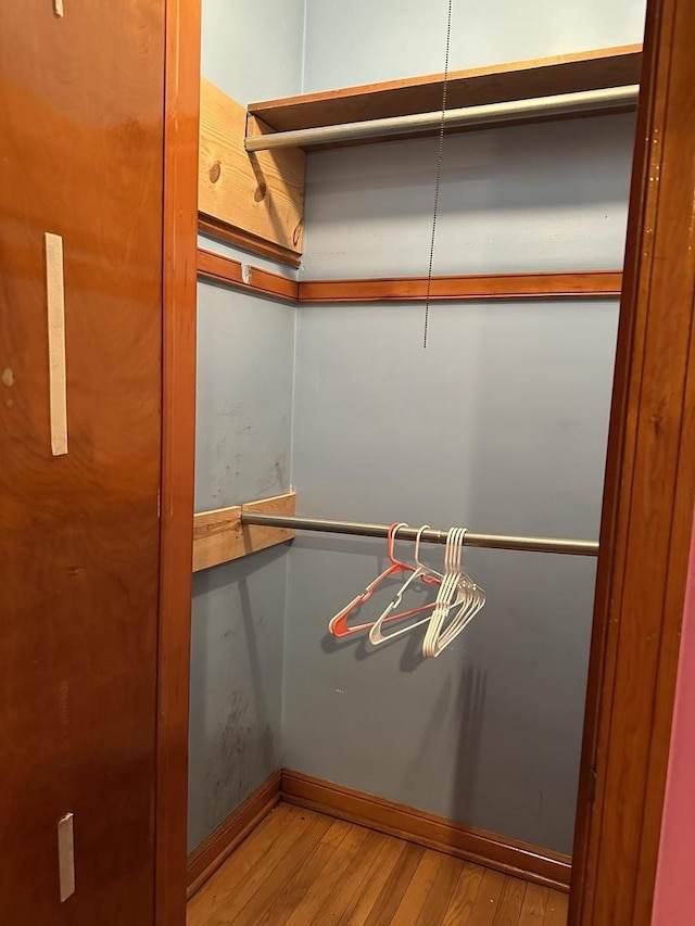 spacious closet with hardwood / wood-style flooring