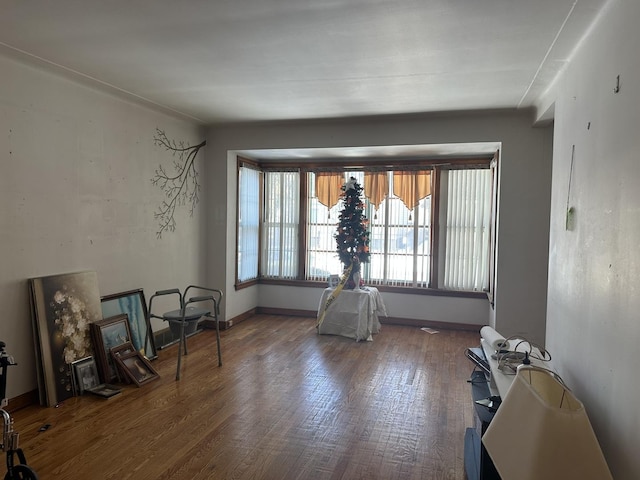 unfurnished room with baseboards and wood finished floors