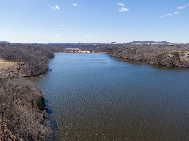 16 Oak Glen Dr, Galena, IL 61036 - water view featuring a wooded view