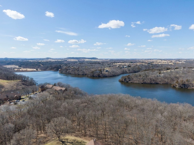 16 Oak Glen Dr, Galena, IL 61036 - property view of water with a view of trees