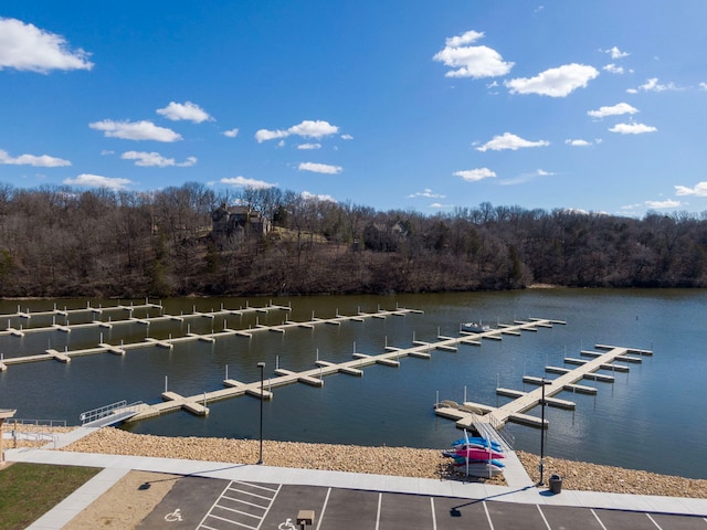 16 Oak Glen Dr, Galena, IL 61036 - view of dock featuring a water view and a view of trees
