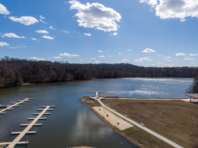 16 Oak Glen Dr, Galena, IL 61036 - dock area featuring a water view and a view of trees