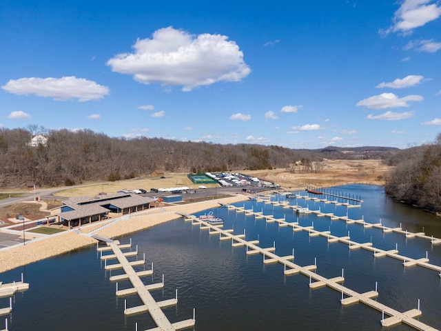 16 Oak Glen Dr, Galena, IL 61036 - bird's eye view featuring a water view