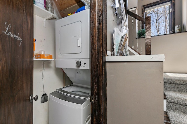 16 Oak Glen Dr, Galena, IL 61036 - clothes washing area with stacked washer and dryer and laundry area