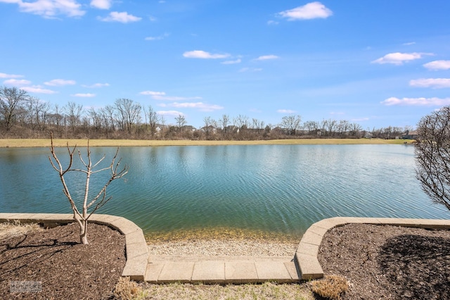 property view of water