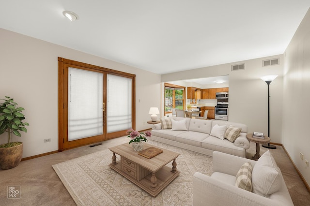 4488 Basswood Dr, Lisle, IL 60532 - photo 14