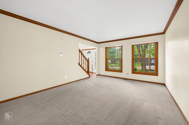 4488 Basswood Dr, Lisle, IL 60532 - photo 9