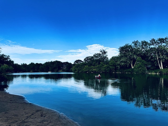 water view featuring a forest view