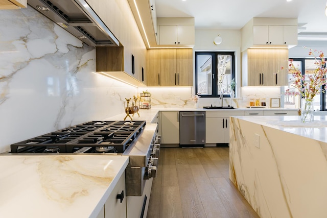 1906 Lee St, Des Plaines, IL 60018 - kitchen featuring decorative backsplash, exhaust hood, range, and a sink