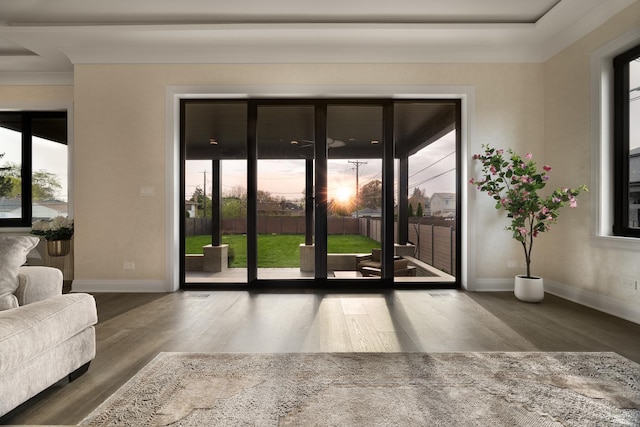 1906 Lee St, Des Plaines, IL 60018 - entryway featuring wood finished floors, plenty of natural light, and baseboards