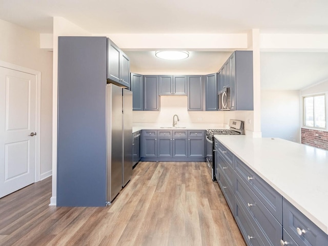 347 Madison Ave, Calumet City, IL 60409 - kitchen with light wood-style flooring, a sink, appliances with stainless steel finishes, and gray cabinetry