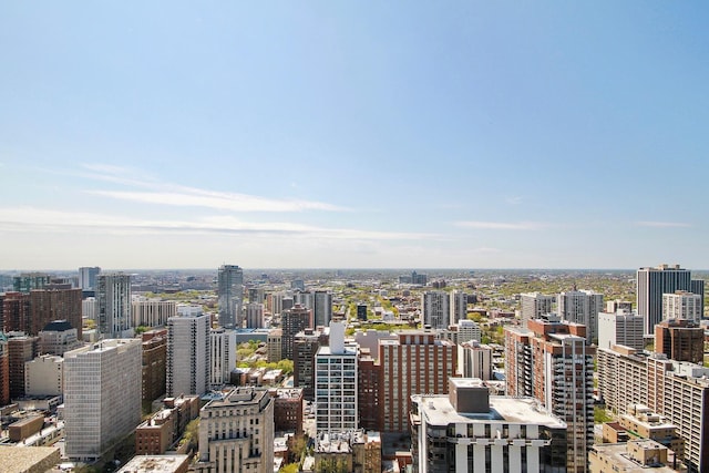 1300 N Lake Shore Dr Unit 25B, Chicago, IL 60610 - view of city