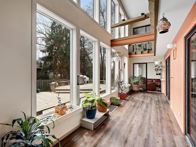 sunroom featuring a towering ceiling and wood finished floors
