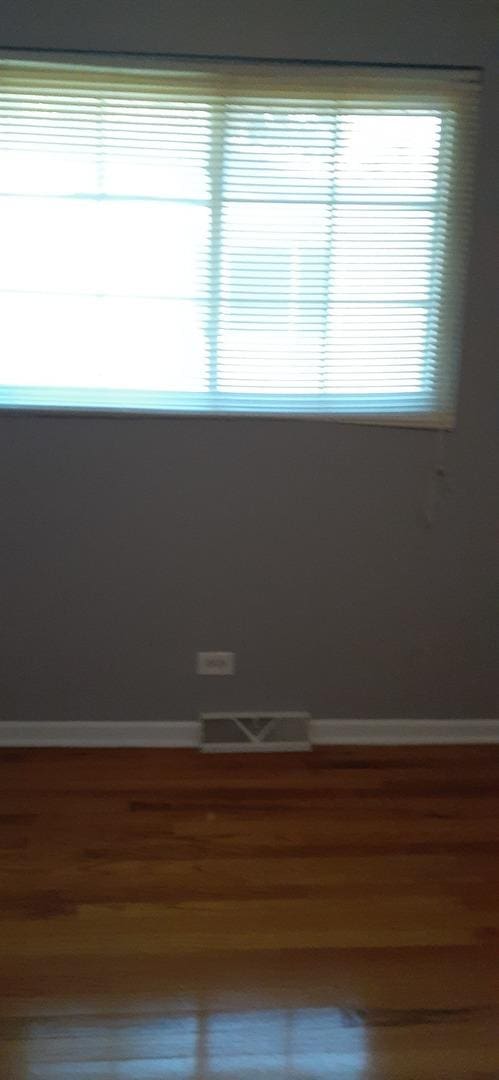 15831 Dante Dr, South Holland, IL 60473 - spare room with wood finished floors and baseboards