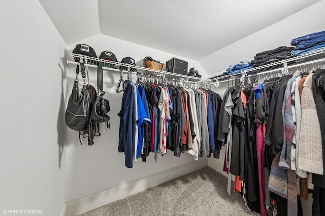 6317 W Roscoe St, Chicago, IL 60634 - spacious closet with carpet flooring