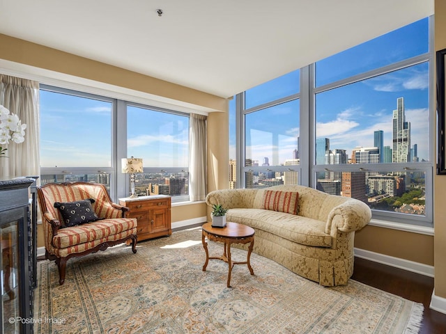 living room with baseboards, a view of city, and wood finished floors