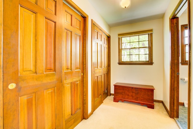 809 S Charles Ave, Naperville, IL 60540 - corridor with carpet floors and baseboards