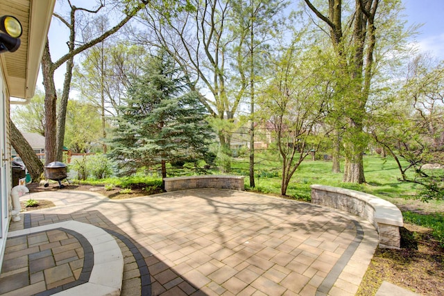 809 S Charles Ave, Naperville, IL 60540 - view of patio