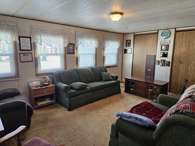 8848 E S Shore Dr, Momence, IL 60954