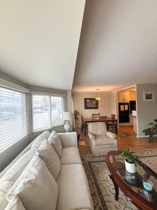 5500 Lincoln Ave Ave Unit 118E, Morton Grove, IL 60053 - living area featuring light wood finished floors and vaulted ceiling