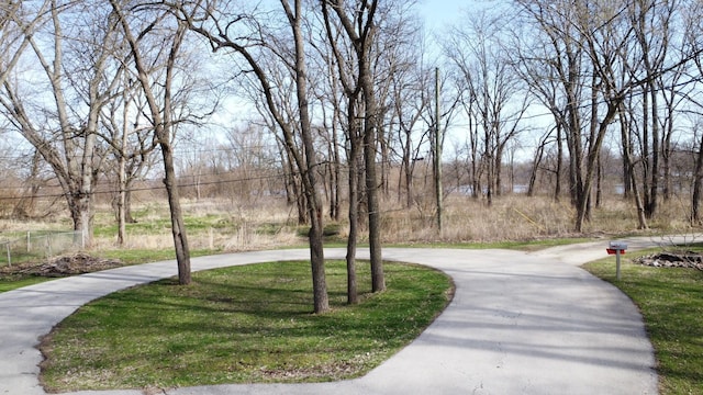 2775 E Riverview Dr, Kankakee, IL 60901 - view of property's community featuring curved driveway and a lawn