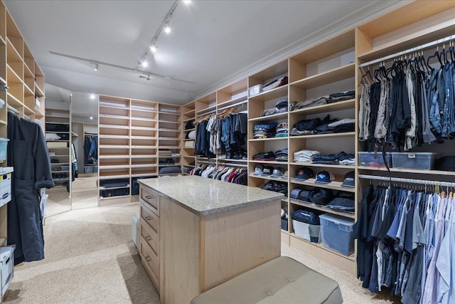 spacious closet with light colored carpet