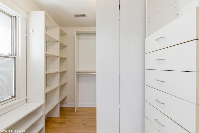 spacious closet featuring light wood-style flooring