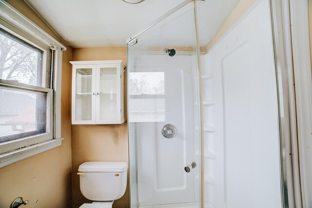 245 E 4th Ave, Clifton, IL 60927 - full bath featuring toilet and a shower