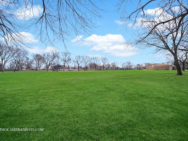 4970 N Marine Dr Unit 526, Chicago, IL 60640 - view of yard
