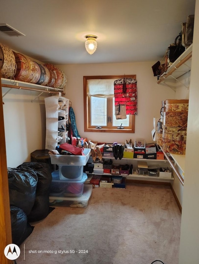 8550 S Avalon Ave, Chicago, IL 60619 - view of storage room