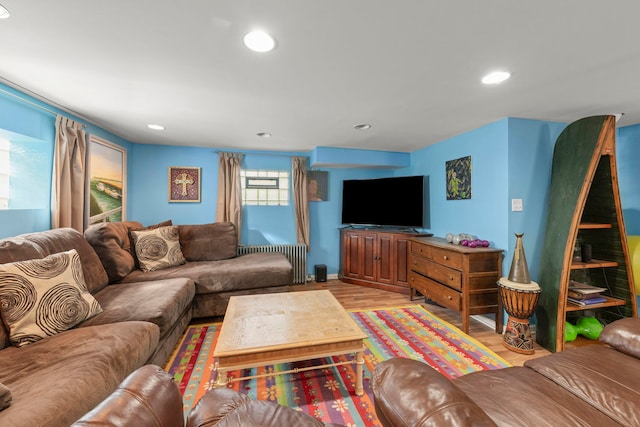 17864 Gladville Ave, Homewood, IL 60430 - living room with radiator, light wood-style floors, and recessed lighting