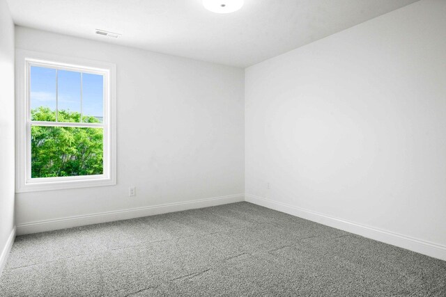 5005 Finlen Ln, Bloomington, IL 61705 - photo 54