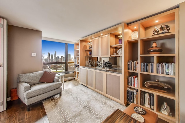 sitting room with wood finished floors and a skyline view
