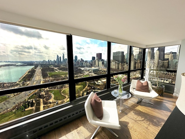 sunroom with a view of skyline and wood finished floors