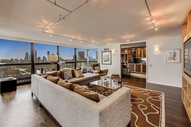 living area with rail lighting, a view of skyline, wood finished floors, and baseboards