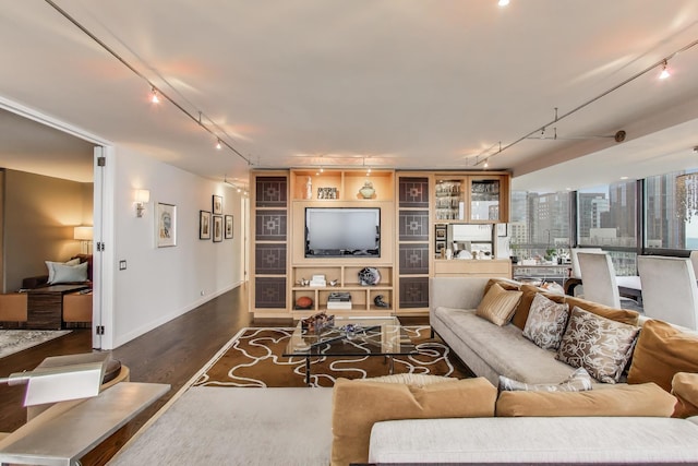living room with rail lighting, baseboards, and dark wood-type flooring