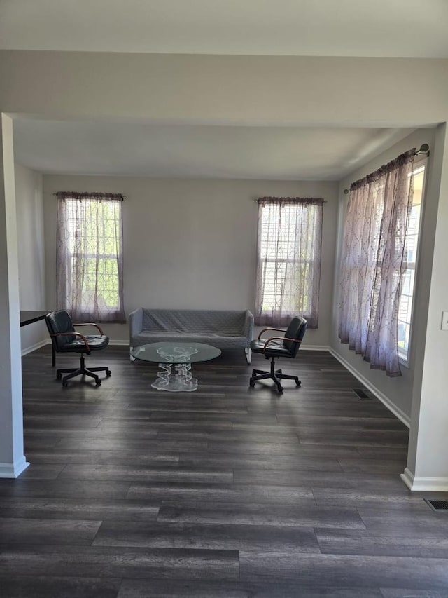 living room with baseboards, plenty of natural light, and wood finished floors