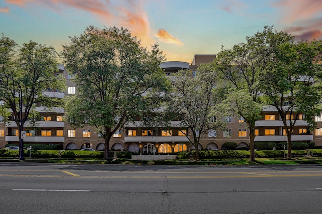 6400 N Cicero Ave Unit 213, Lincolnwood, IL 60712 - photo 3